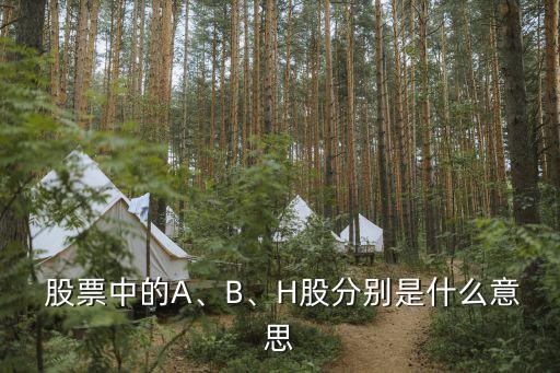  股票中的A、B、H股分別是什么意思