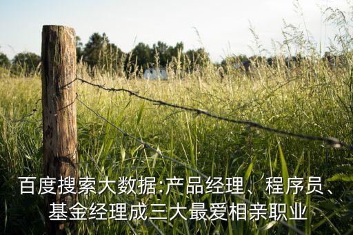 百度搜索大數(shù)據(jù):產(chǎn)品經(jīng)理、程序員、 基金經(jīng)理成三大最愛相親職業(yè)