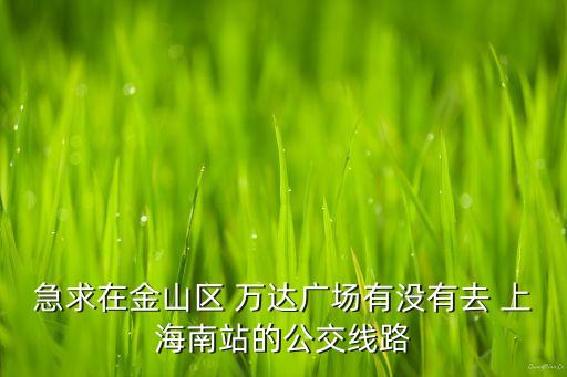 急求在金山區(qū) 萬達(dá)廣場有沒有去 上海南站的公交線路