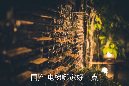 國(guó)產(chǎn) 電梯哪家好一點(diǎn)