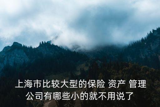  上海市比較大型的保險(xiǎn) 資產(chǎn) 管理公司有哪些小的就不用說(shuō)了