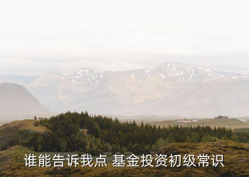 誰能告訴我點(diǎn) 基金投資初級常識(shí)