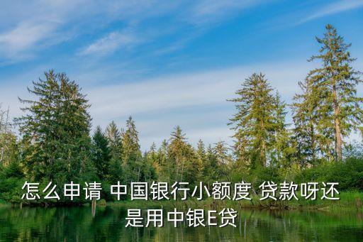 怎么申請(qǐng) 中國銀行小額度 貸款呀還是用中銀E貸
