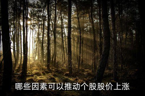 哪些因素可以推動個(gè)股股價(jià)上漲