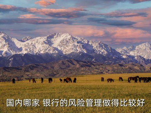 哪個銀行風(fēng)控抓得嚴,pos機綁哪個銀行風(fēng)控低