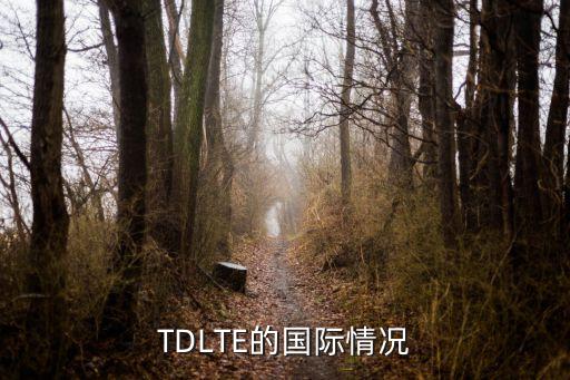 2012年中國(guó)td lte終端芯片銷(xiāo)售量