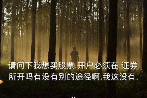 請(qǐng)問(wèn)下我想買股票.開(kāi)戶必須在 證券所開(kāi)嗎有沒(méi)有別的途徑啊.我這沒(méi)有...