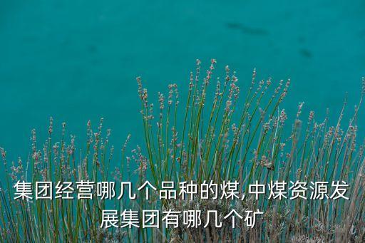 中煤集團(tuán)經(jīng)營哪幾個品種的煤,中煤資源發(fā)展集團(tuán)有哪幾個礦