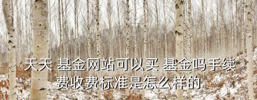  天天 基金網(wǎng)站可以買 基金嗎手續(xù)費收費標準是怎么樣的