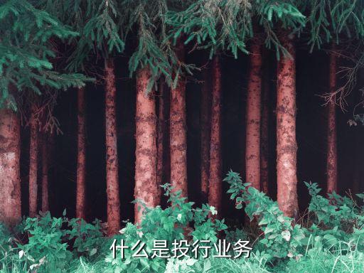什么是投行業(yè)務
