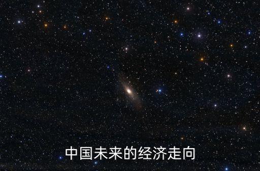 中國未來的經(jīng)濟(jì)走向