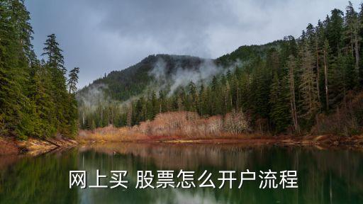  網(wǎng)上買(mǎi) 股票怎么開(kāi)戶流程