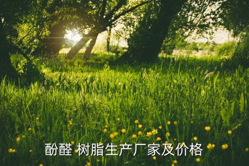 貴港中加樹(shù)脂有限公司