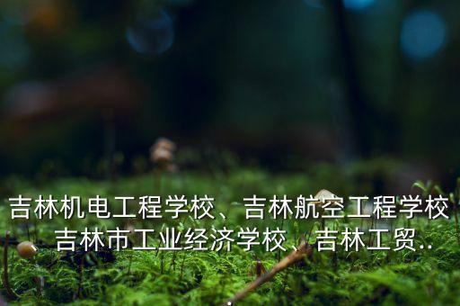 吉林機電工程學校、吉林航空工程學校、吉林市工業(yè)經(jīng)濟學校、吉林工貿(mào)...