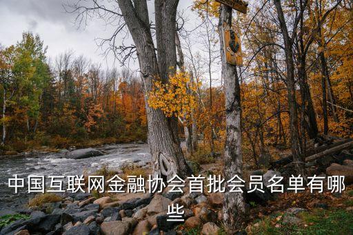 中國互聯網金融協(xié)會首批會員名單有哪些