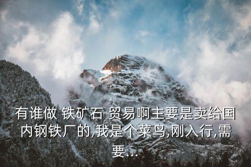 有誰(shuí)做 鐵礦石 貿(mào)易啊主要是賣(mài)給國(guó)內(nèi)鋼鐵廠(chǎng)的,我是個(gè)菜鳥(niǎo),剛?cè)胄?需要...
