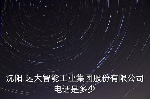 沈陽(yáng) 遠(yuǎn)大智能工業(yè)集團(tuán)股份有限公司電話(huà)是多少