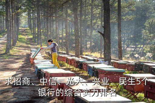 求招商、中信、光大、興業(yè)、民生5個銀行的綜合實力排名
