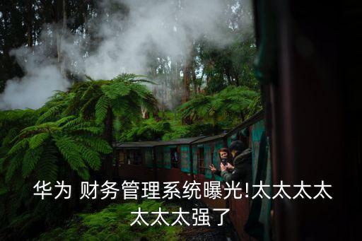  華為 財務管理系統(tǒng)曝光!太太太太太太太強了