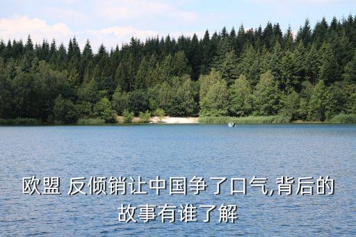 中國對(duì)歐反傾銷,中國遭受反傾銷的原因