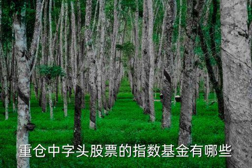中恒集團(tuán)會(huì)有怎樣的股權(quán)之爭