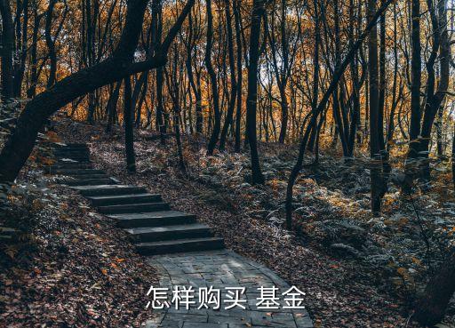怎樣購(gòu)買 基金
