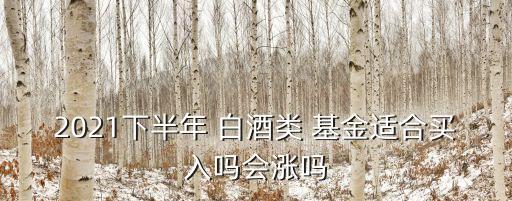 2021下半年 白酒類 基金適合買入嗎會(huì)漲嗎