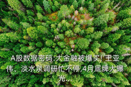 A股數(shù)據(jù)密碼:大金融被爆買(mǎi)! 王亞偉、淡水泉調(diào)研忙不停,4月底牌大曝光...