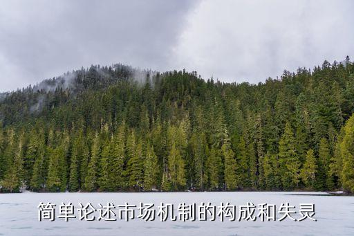 簡單論述市場機制的構(gòu)成和失靈