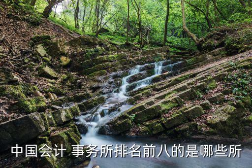 中國(guó)會(huì)計(jì) 事務(wù)所排名前八的是哪些所