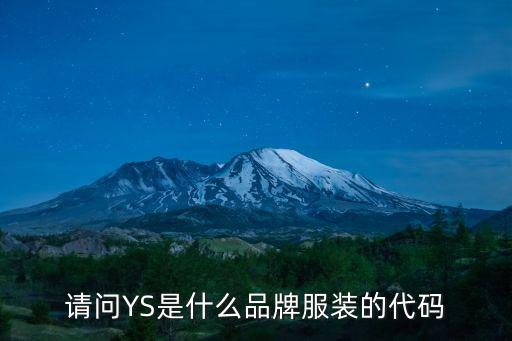 請(qǐng)問(wèn)YS是什么品牌服裝的代碼