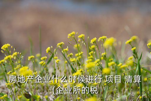 項目公司清算