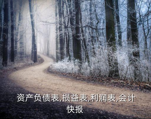 長期股權(quán)投資以外的其他非流動(dòng)資產(chǎn)增加額,其他非流動(dòng)資產(chǎn)和長期股權(quán)投資