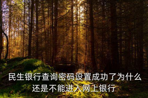  民生銀行查詢密碼設置成功了為什么還是不能進入網(wǎng)上銀行