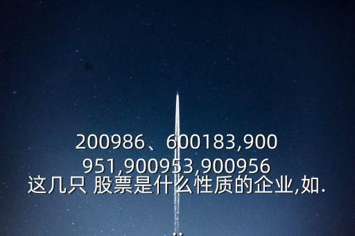 200986、600183,900951,900953,900956這幾只 股票是什么性質(zhì)的企業(yè),如...
