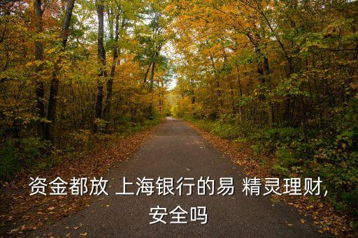 上海銀行易精靈2號