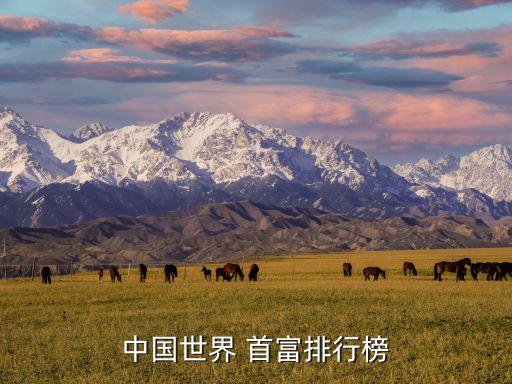 現在誰是中國首富,2023年中國十大首富