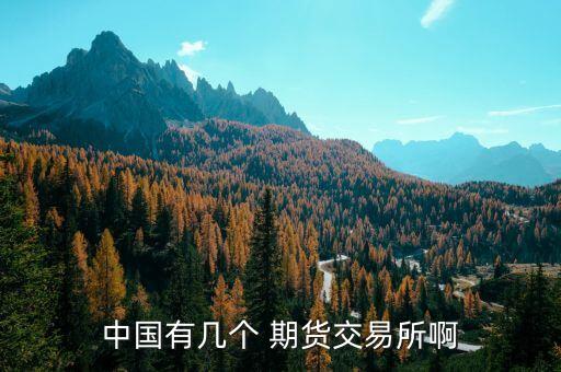 中國有幾個(gè) 期貨交易所啊
