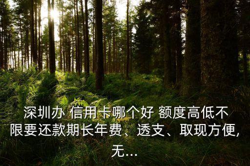  深圳辦 信用卡哪個(gè)好 額度高低不限要還款期長年費(fèi)、透支、取現(xiàn)方便,無...