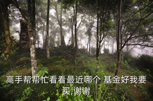高手幫幫忙看看最近哪個(gè) 基金好我要買(mǎi),謝謝