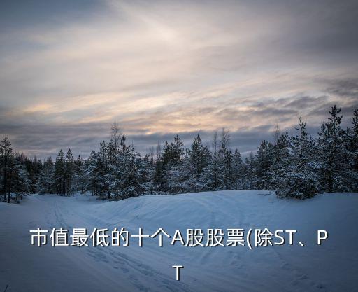 市值最低的十個(gè)A股股票(除ST、PT