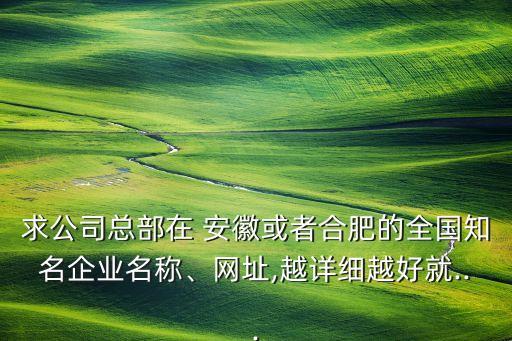 求公司總部在 安徽或者合肥的全國(guó)知名企業(yè)名稱、網(wǎng)址,越詳細(xì)越好就...