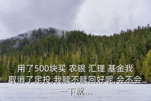 用了500塊買(mǎi) 農(nóng)銀 匯理 基金我取消了定投,我贖不贖回好呢,會(huì)不會(huì)一下就...