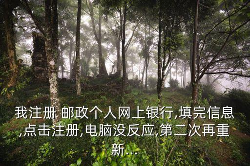 我注冊(cè) 郵政個(gè)人網(wǎng)上銀行,填完信息,點(diǎn)擊注冊(cè),電腦沒反應(yīng),第二次再重新...