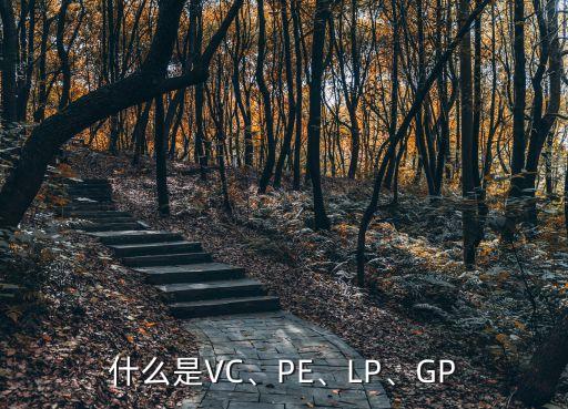 什么是VC、PE、LP、GP