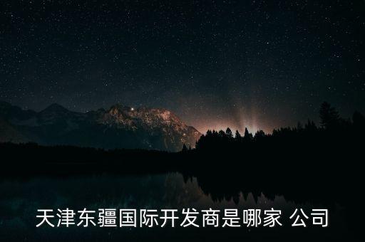 天津東疆國際開發(fā)商是哪家 公司