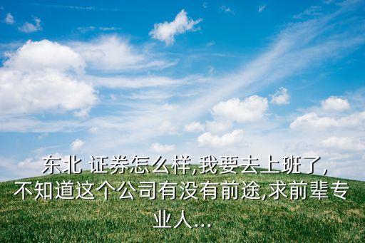  東北 證券怎么樣,我要去上班了,不知道這個(gè)公司有沒(méi)有前途,求前輩專(zhuān)業(yè)人...
