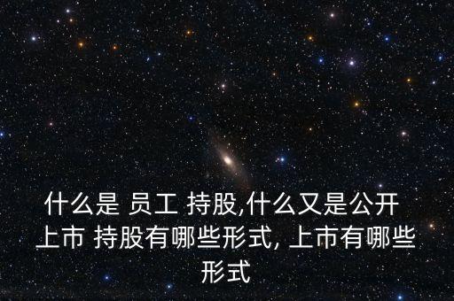 什么是 員工 持股,什么又是公開(kāi) 上市 持股有哪些形式, 上市有哪些形式