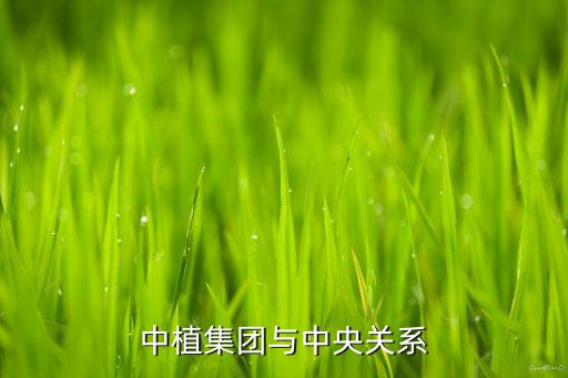 中植集團與中央關(guān)系