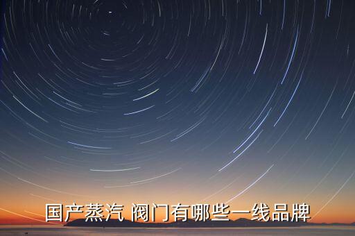 國(guó)產(chǎn)蒸汽 閥門有哪些一線品牌